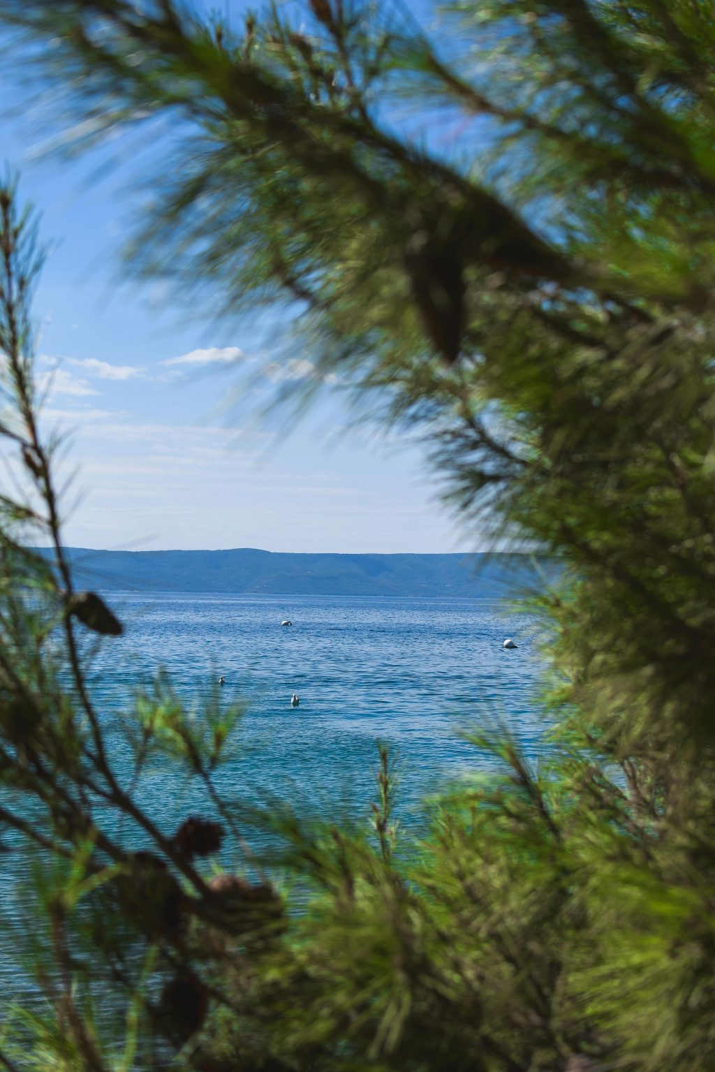 Horizon view of the sea